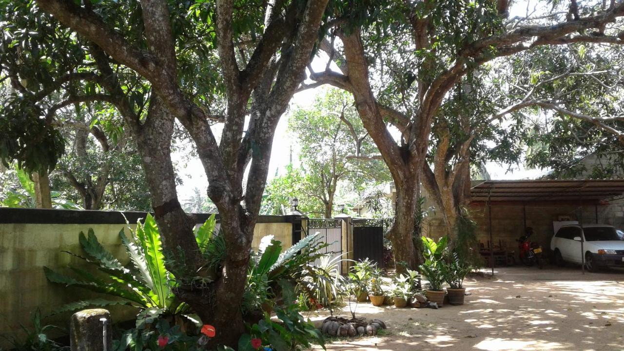Water Front Home Stay And Resort Anuradhapura Luaran gambar